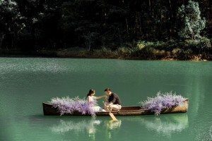 Chụp ảnh cưới ở Mộc Châu