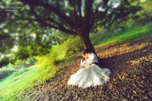 album ảnh cưới cập nhật