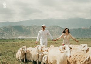 ảnh viện áo cưới nha trang