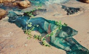 Album ảnh cưới nàng tiên cá 42