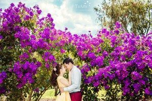Album ảnh cưới nàng tiên cá 74