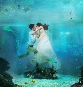 Kinh nghiệm chụp ảnh cưới ở Miền Nam 2