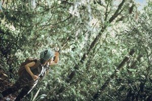 Album ảnh cưới đẹp - độc-lạ 9