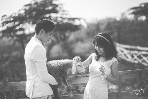 Album ảnh cưới đẹp lạ: Nắm tay em đi suốt cuộc đời 19