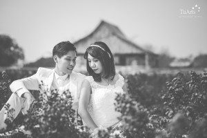 Album ảnh cưới đẹp lạ: Nắm tay em đi suốt cuộc đời 24