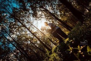 Album ảnh cưới Xuyên Việt 12 ngày đêm 87