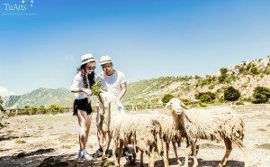 Album ảnh cưới Xuyên Việt 12 ngày đêm 131