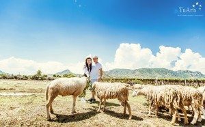 Album ảnh cưới Xuyên Việt 12 ngày đêm 133