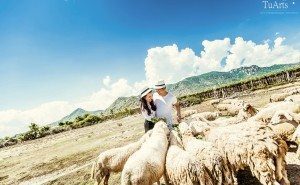 Album ảnh cưới Xuyên Việt 12 ngày đêm 138