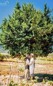 Album ảnh cưới Xuyên Việt 12 ngày đêm 149