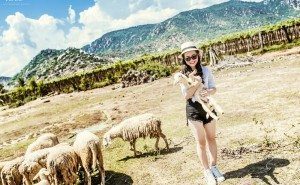 Album ảnh cưới Xuyên Việt 12 ngày đêm 150