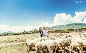 Album ảnh cưới Xuyên Việt 12 ngày đêm 152