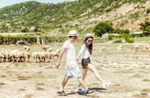 Album ảnh cưới Xuyên Việt 12 ngày đêm 153