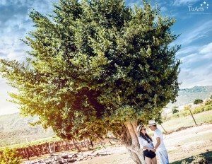 Album ảnh cưới Xuyên Việt 12 ngày đêm 154