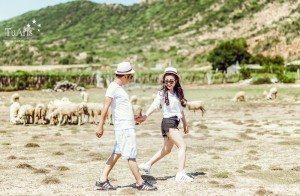 Album ảnh cưới Xuyên Việt 12 ngày đêm 120
