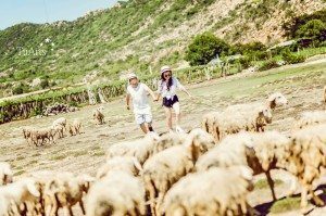 Album ảnh cưới Xuyên Việt 12 ngày đêm 124