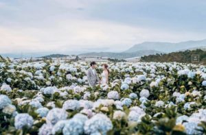 Những địa điểm chụp ảnh cưới đẹp tại Đà Lạt 12