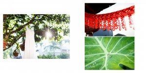 ALBUM PHÓNG SỰ CƯỚI: NGỌC - DAVIS 15