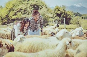 Chụp ảnh cưới ngoại cảnh trong nội thành Hà Nội 3