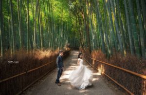 Album ảnh cưới đẹp Nắm tay nhau đi khắp thế gian 5
