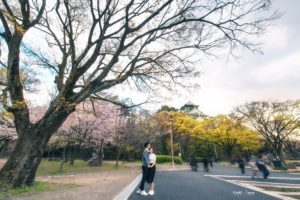 Album ảnh cưới đẹp Nắm tay nhau đi khắp thế gian 13