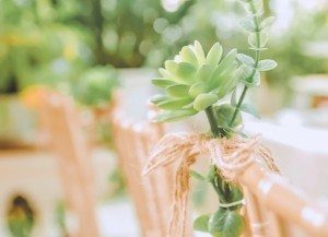 Album Phóng Sự Cưới Quân - Trang 7