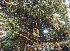 Album Phóng Sự Cưới Quân - Trang 14