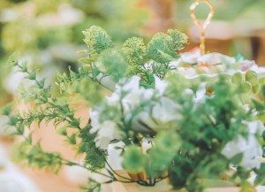Album Phóng Sự Cưới Quân - Trang 16