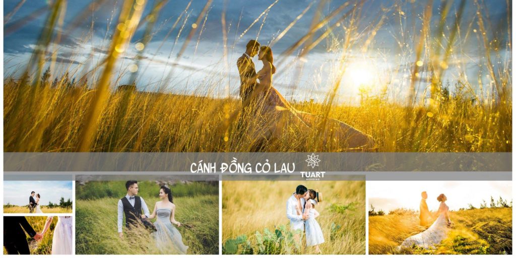 Những địa điểm chụp ảnh cưới đẹp Đà Nẵng