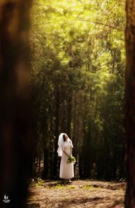 Album ảnh cưới đẹp - Đại Lải