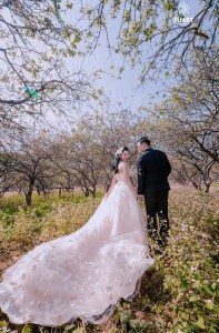 Album ảnh cưới Mộc Châu: Đức - Lan 41