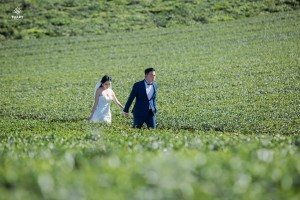 Album ảnh cưới Mộc Châu: Đức - Lan 47