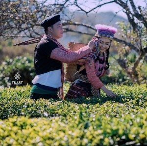 Album ảnh cưới Mộc Châu: Đức - Lan 49
