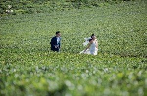 Album ảnh cưới Mộc Châu: Đức - Lan 50