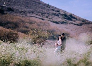 Album ảnh cưới Mộc Châu: Đức - Lan