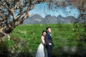 Album ảnh cưới Mộc Châu: Đức - Lan 56
