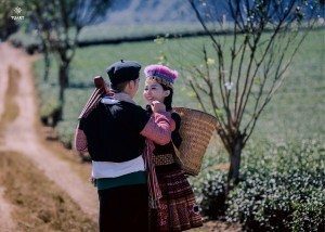 Album ảnh cưới Mộc Châu: Đức - Lan 60
