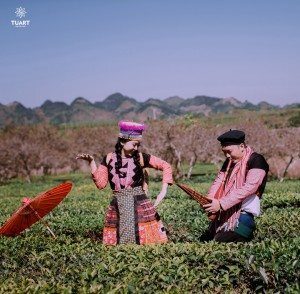 Album ảnh cưới Mộc Châu: Đức - Lan 61