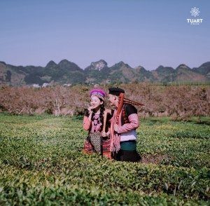 Album ảnh cưới Mộc Châu: Đức - Lan 62
