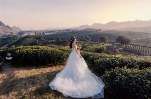 Album ảnh cưới Mộc Châu: Đức - Lan 35