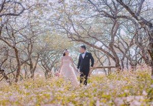 Album ảnh cưới Mộc Châu: Đức - Lan 37