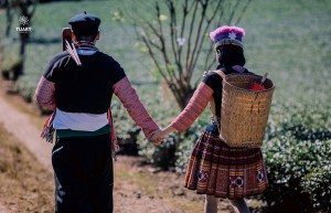 Album ảnh cưới Mộc Châu: Đức - Lan 38