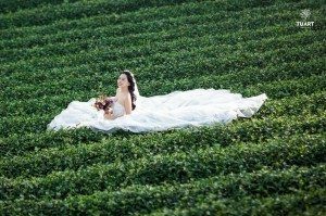 Album ảnh cưới Mộc Châu: Đức - Lan 14