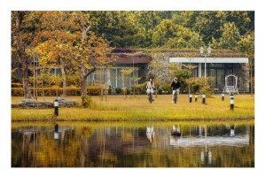 ảnh cưới đẹp tháng 11 5