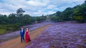 ảnh cưới đẹp tháng 11 7