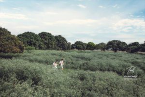 Album ảnh cưới theo ConCept ở Hà Nội 42