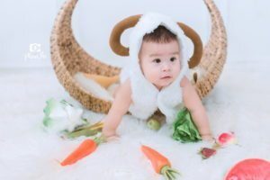 Album chụp ảnh cho bé Gold 7