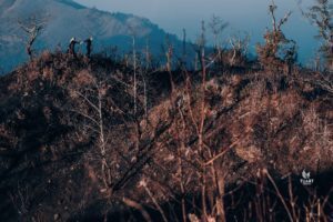 Album ảnh cưới Concept Sắc Đen Huyền Bí 36