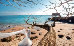 Album ảnh cưới đẹp Đà Nẵng thời điểm đẹp nhất
