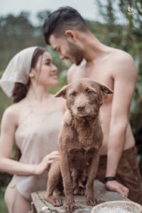 Album ảnh Tuyệt tình cốc 3 23122938